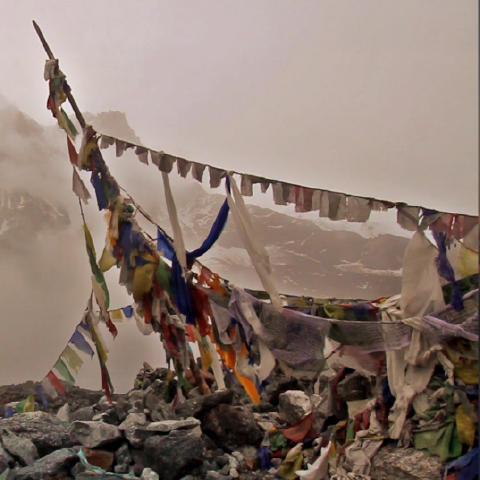 SINGALILA IN THE HIMALAYA